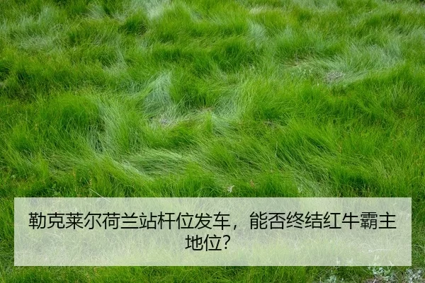 lei-ke-lai-er-he-lan-zhan-gan-wei-fa-che-neng-fou-zhong-jie-hong-niu-ba-zhu-di-wei-2-979.jpg