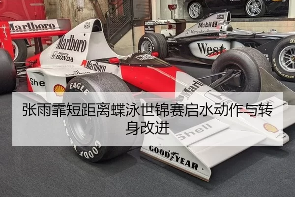 张雨霏短距离蝶泳世锦赛启水动作与转身改进
